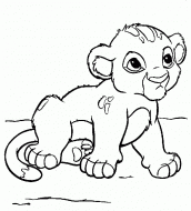 rei leao simba desenho colorir