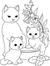 desenho para colorir de gatos e bebês 2032005 Vetor no Vecteezy