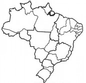 Desenhos do mapa do Brasil para colorir