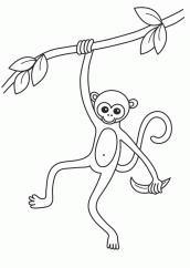 Desenho para colorir macaco · Creative Fabrica