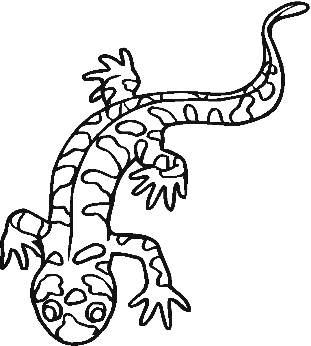 salamandra para colorir